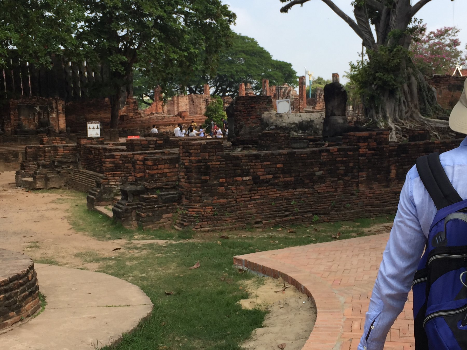 Ayutthaya — Walking through brick ruins shaded by old trees.